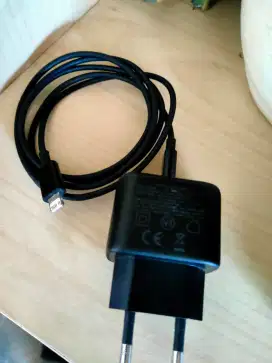 Charger iPhone 25 watt