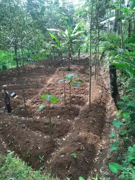 Tanah SHM Lokasi Strategis Dekat Jalan Provinsi
