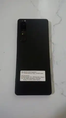 Sony Xperia 1 iii global