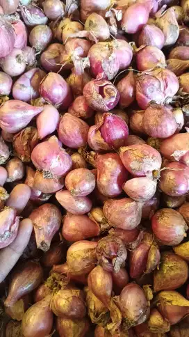 Bawang merah n putih murah