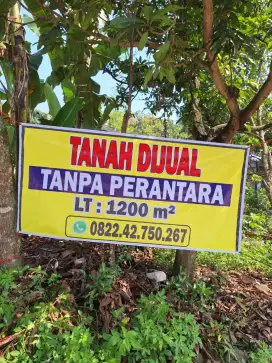 Di jual tanah tanpa perantara
