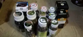 Habbatussauda suplemen kesehatan