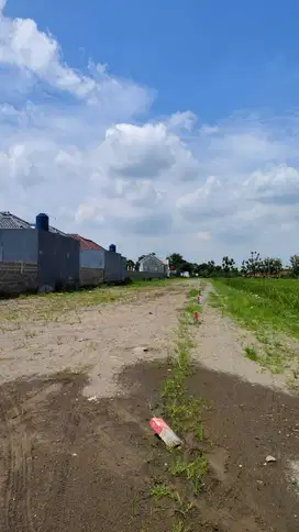 Jual Tanah Murah di Klaten dekat dengan Exit Tol hanya 90 Jutaan