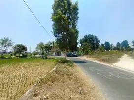 Harga Tanah di Pedesaan Klaten hanya 1,5 Juta / Meter Desa Manjung