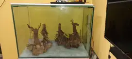 Aquarium aquascape