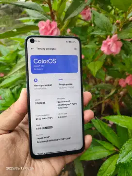 OPPO RENO 6 FULSET