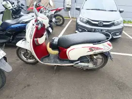 Honda Scoopy 2016