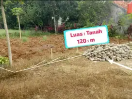 DI JUAL TANAH KEBUN HARGA  MURAH