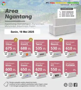 BATA RINGAN NGANTANG