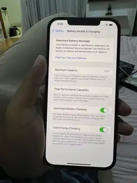iPhone 12 Pro Max 256 GB ex ibox