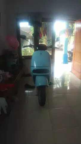 BU molis warna biru