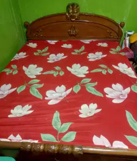 Tempat tidur dipan