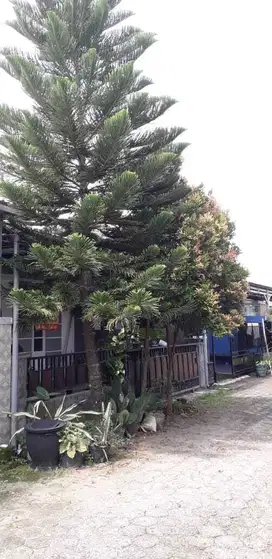 Di Jual CEPAT Rumah di Taruna Residences, BLORA