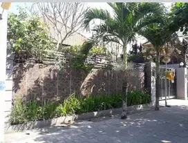 Rumah Lantai 1 Nyaman Dan Asri Di Jl Gita Sura Peguyangan Denpasar