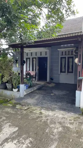 Rumah Bagus Dan Tanah Luas 1 Lantai Bogor