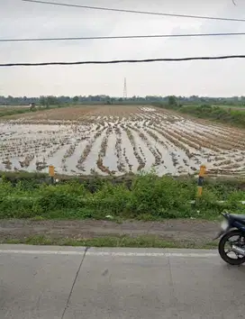 TANAH TAMBAK NOL JALAN RAYA GRESIK dkt cerme kebomas manyar