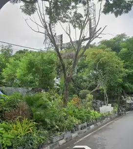 SIAP BANGUN TANAH NOL RAYA MERR d manyar kertajaya galaxy dharmahusada