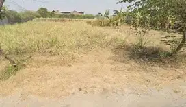 SIAP PAKAI LAHAN INDUSTRI WRINGINANOM GRESIK