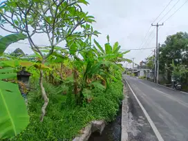 DISEWAKAN TANAH 5 ARE PINGGIR JALAN LINGKUNGAN VILLA DI UBUD - BALI
