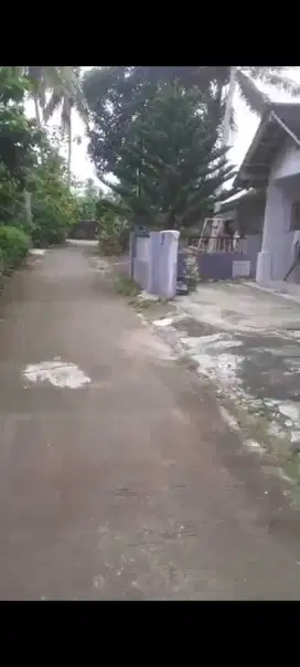 JUAL TANAH DI KARANGWULUH TEMON KULONPROGO