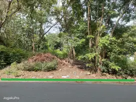 Tanah murah strategis pinggir jalan aspal dekat kampus UMY & Alma'ata