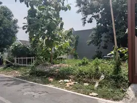 Tanah Tembalang Bulusan Utara Undip