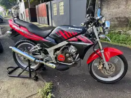 Ninja SS zebra 2014