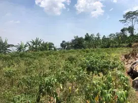 TANAH SHM 5421 LAWANG MALANG ARAH KEBUN TEH