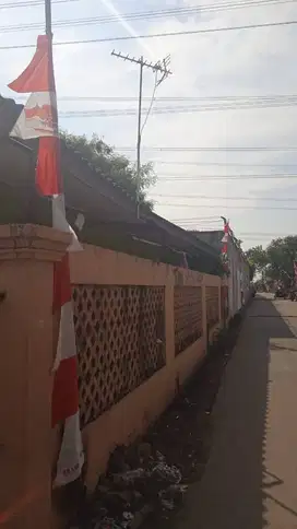 Kontrakan Murah di CInere