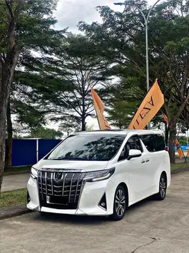DIJUAL CEPAT MOBIL TOYOTA ALPHARD TSS G AT ATPM 2020 TSS