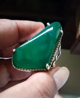 Bacan hijau botol