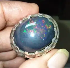Black Opal banten