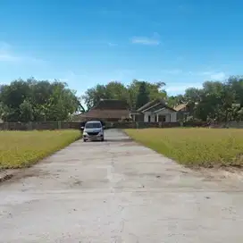 Dijual Tanah Dibawah 200 Juta Di Dekat Candi Prambanan