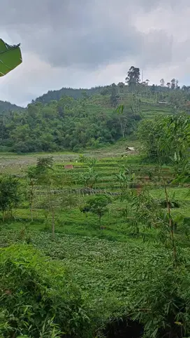 Tanah daerah Ciwidey Bandung view cantik cocok u/pertanian,wisata