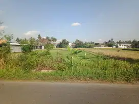 DIJUAL TANAH PEKARANGAN 2 MENIT KE UMY
