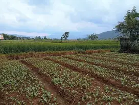 JUAL CEPAT TANAH DAN BALONG STRATEGIS HARGA TERJANGKAU BANJARAN