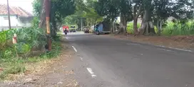 350rb per meter Dijual Murah Lahan Industri di Rejoso Pasuruan
