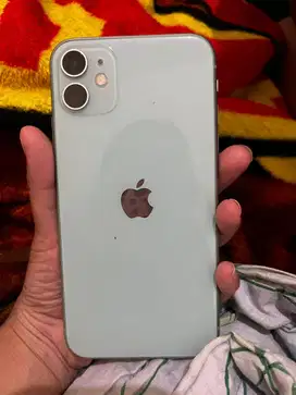 Iphone 11 wifi only