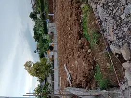 tanah kavling murah strategis
