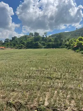 Dijual Lahan 4,4Ha di Tepi Pantai Wane Bima