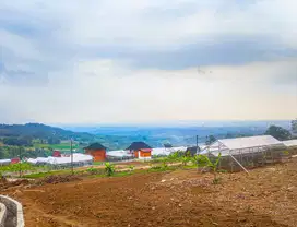 Jual tanah di Bogor pinggir jalan besar bonus green house anggur