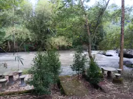 Lahan pinggir sungai