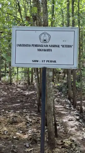 DI JUAL CEPAT TANAH PEKARANGAN PACAREJO , SEMANU,  WONOSARI