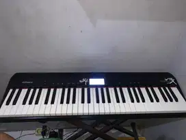 roland go piano 61 tuts
