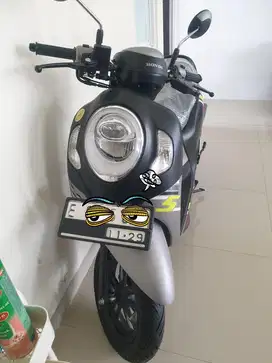 Motor scoopy 2024