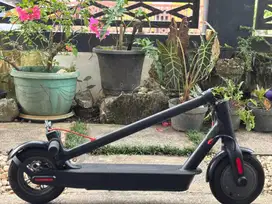 ELECTRIC SCOOTER 10 inch