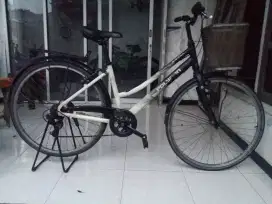 Sepeda mini keranjang dewasa polygon sierra
