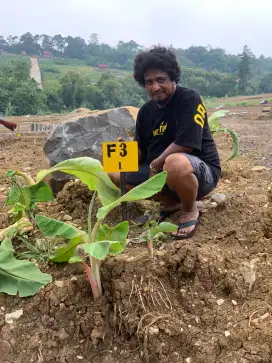 Di Jual Sebidang Tanah Kavling