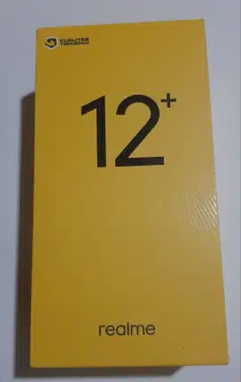 dus/box realme 12+