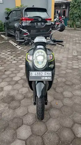 SCOOPY MURAH GRESS READY